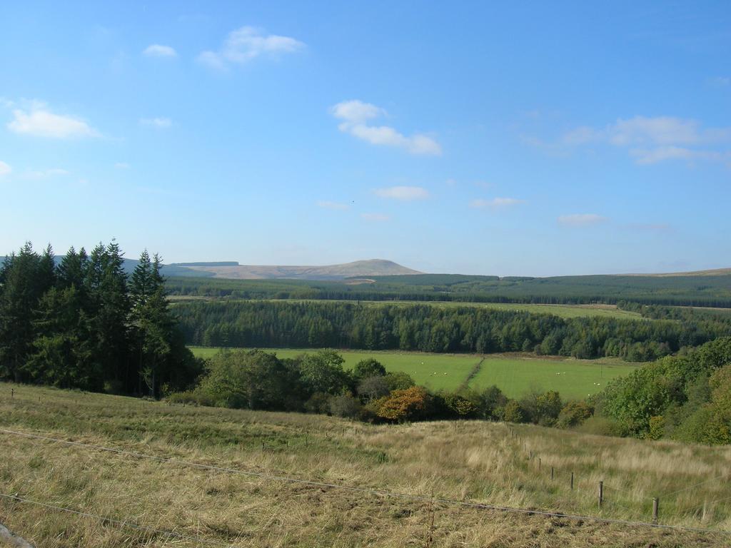 Sorbietrees B&B Newcastleton Екстериор снимка